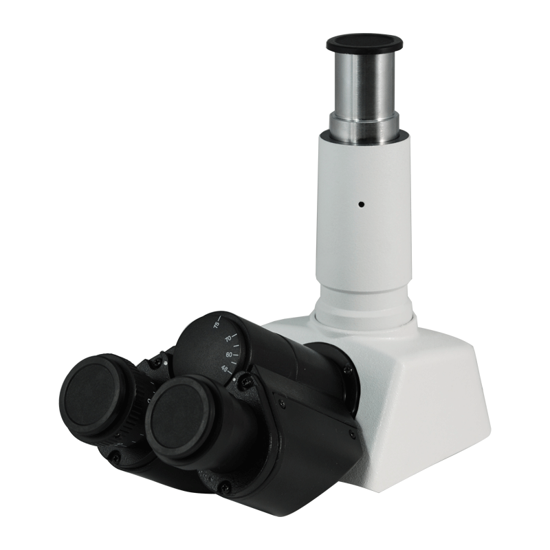 function of eyepiece tube or body tube in microscope